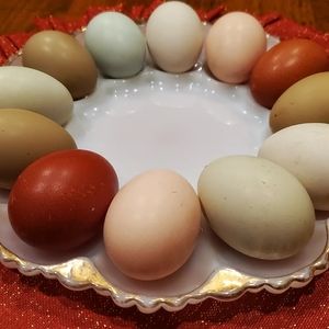 Anchor Hocking Milk Glass and Gold Rimmed Egg or Oyster Plate